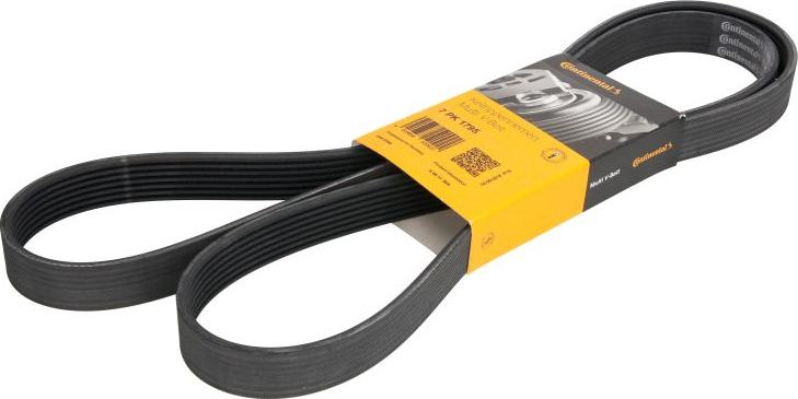 CONTINENTAL 7PK1795 - V-Ribbed Belt car-mod.net