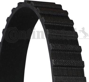 CONTINENTAL CT626 - Timing Belt car-mod.net