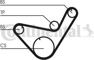 CONTINENTAL CT714K1 - Timing Belt Set car-mod.net