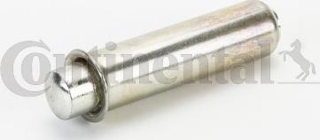 CONTINENTAL V56660 - Vibration Damper, timing belt car-mod.net