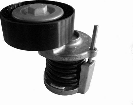 CORAM CT1012 - Belt Tensioner, v-ribbed belt car-mod.net