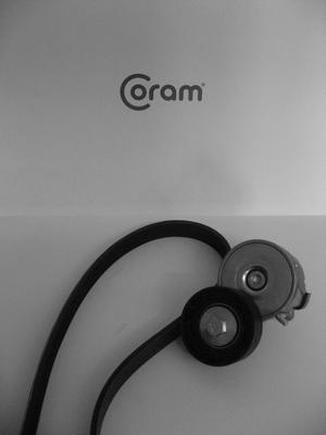 CORAM KTC987.80 - V-Ribbed Belt Set car-mod.net