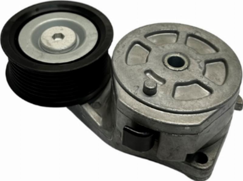 CORAM TPT4009 - Belt Tensioner, v-ribbed belt car-mod.net