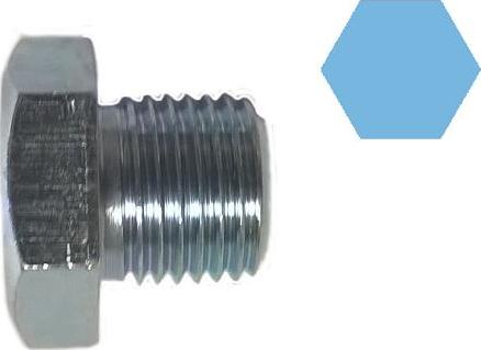 Corteco 49362593 - Sealing Plug, oil sump car-mod.net