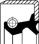 Corteco 19035213B - Shaft Seal, differential car-mod.net