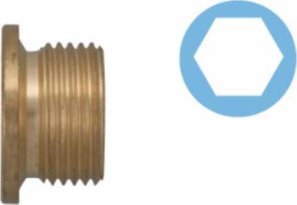 Corteco 220103S - Sealing Plug, oil sump car-mod.net