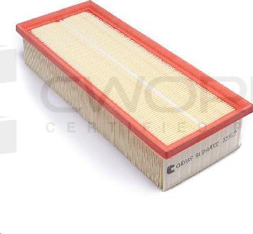 Cworks B13MR0002 - Engine Air Filter car-mod.net