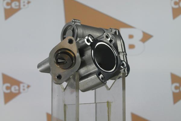 DA SILVA GR6076 - EGR Valve car-mod.net