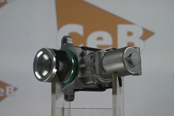 DA SILVA GR6125 - EGR Valve car-mod.net