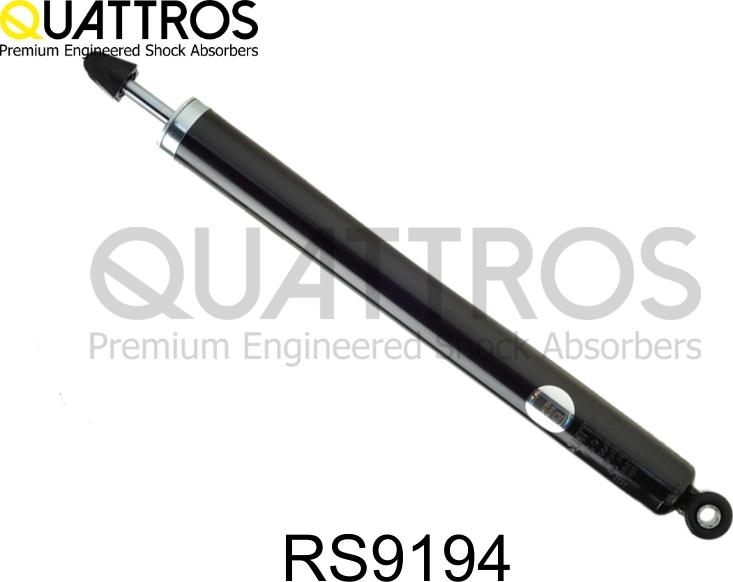 DAVID VASCO RS9194 - Shock Absorber car-mod.net