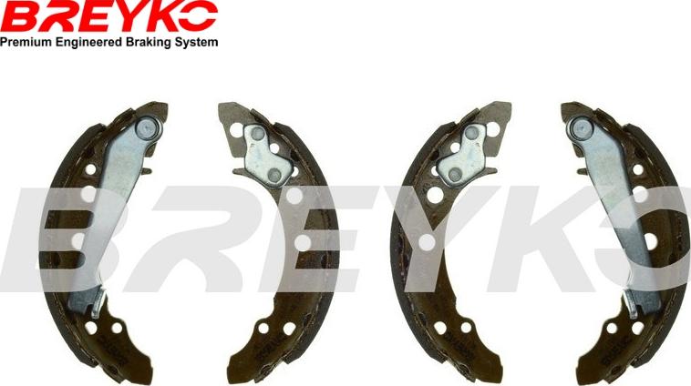DAVID VASCO W8166 - Drum Brake Shoe Set car-mod.net