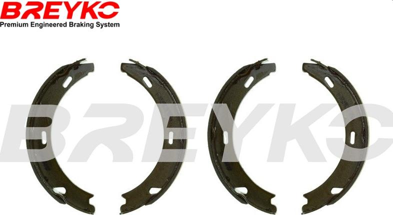 DAVID VASCO W8208 - Drum Brake Shoe Set car-mod.net