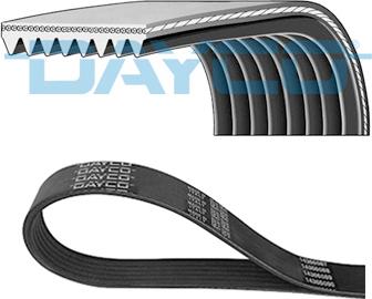 Dayco 8PK2055HD - V-Ribbed Belt car-mod.net