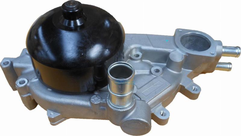 DAYCO-AU DP1317 - Water Pump car-mod.net