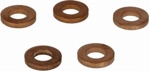 Delphi 9001-850D - Heat Shield, injection system car-mod.net