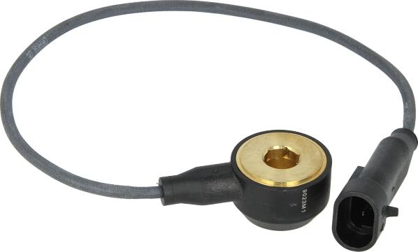 Delphi AS10134-12B1 - Knock Sensor car-mod.net