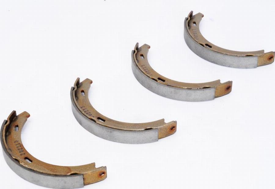 Delphi LS1371 - Brake Shoe Set, parking brake car-mod.net