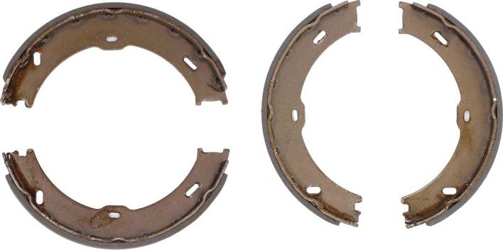 Delphi LS2018 - Brake Shoe Set, parking brake car-mod.net