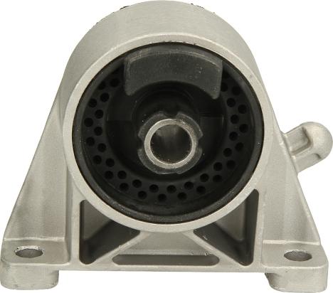Delphi TEM010 - Holder, engine mounting car-mod.net