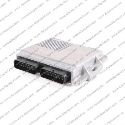 Dipasport EB4OMEGAS001OR - Control Unit, engine management car-mod.net