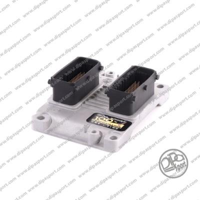 Dipasport EBME762396R - Control Unit, fuel injection car-mod.net