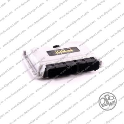 Dipasport EDEDC15P2242503R - Control Unit, injection system car-mod.net