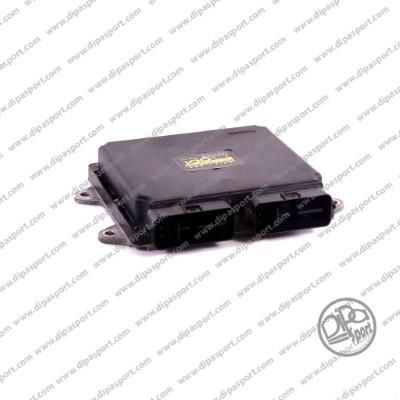 Dipasport EBMI008R - Control Unit, engine management car-mod.net