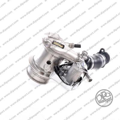 Dipasport EGR496N - EGR Valve car-mod.net