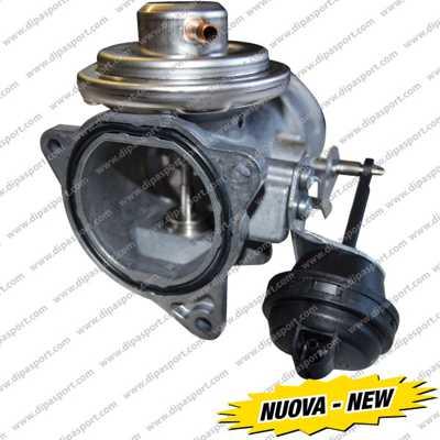 Dipasport EGR097N - EGR Valve car-mod.net