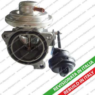 Dipasport EGR043R - EGR Valve car-mod.net