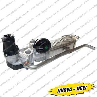 Dipasport EGR104N - EGR Valve car-mod.net