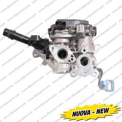 Dipasport EGR248N - EGR Valve car-mod.net