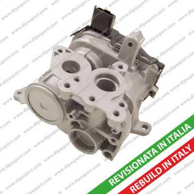 Dipasport EGR248R - EGR Valve car-mod.net