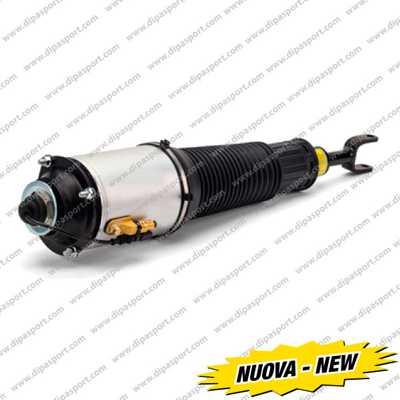Dipasport SSAS02893N - Air Spring Strut car-mod.net