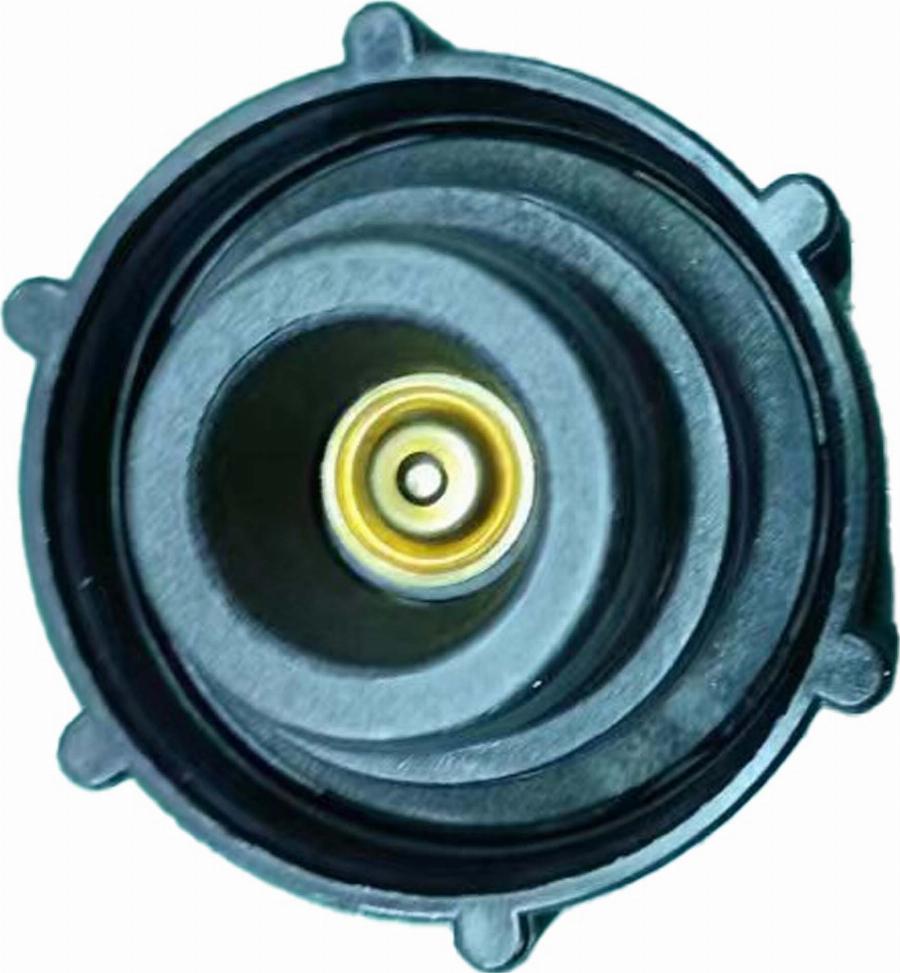 CARRO 014708585 - Sealing Cap, radiator car-mod.net