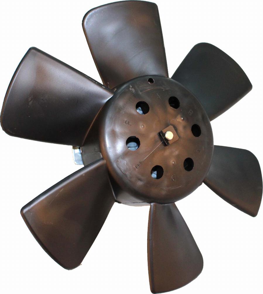 DOGA EVW036 - Fan, radiator car-mod.net