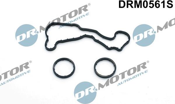 Dr.Motor Automotive DRM0561S - Gasket Set, oil cooler car-mod.net