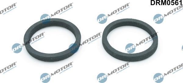 Dr.Motor Automotive DRM0561 - Seal, oil cooler car-mod.net