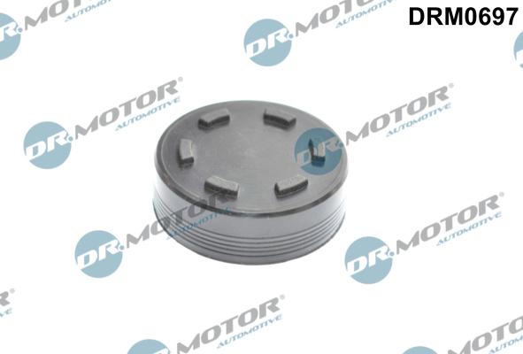 Dr.Motor Automotive DRM0697 - Locking Cover, camshaft car-mod.net