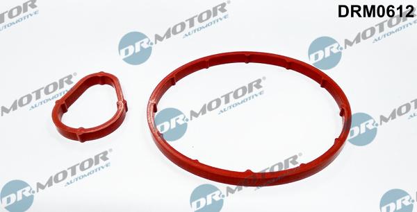 Dr.Motor Automotive DRM0612 - Seal Set, vacuum pump car-mod.net