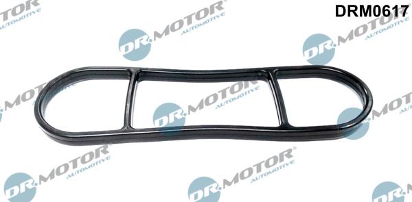 Dr.Motor Automotive DRM0617 - Seal, oil filter housing car-mod.net