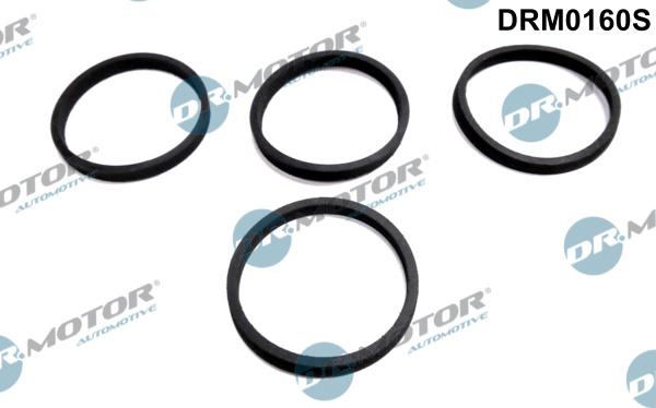 Dr.Motor Automotive DRM0160S - Gasket Set, intake manifold car-mod.net