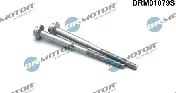 Dr.Motor Automotive DRM01079S - Screw, injection nozzle holder car-mod.net