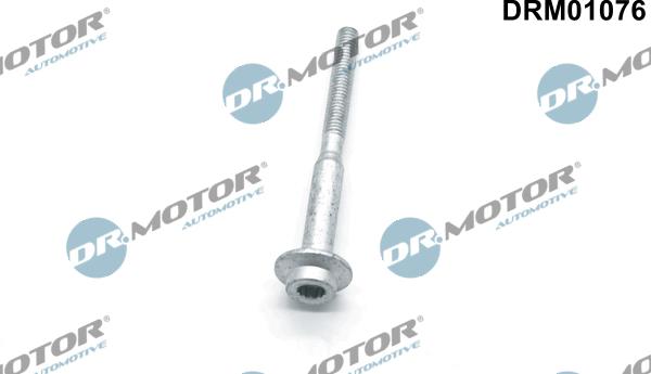 Dr.Motor Automotive DRM01076 - Screw, injection nozzle holder car-mod.net