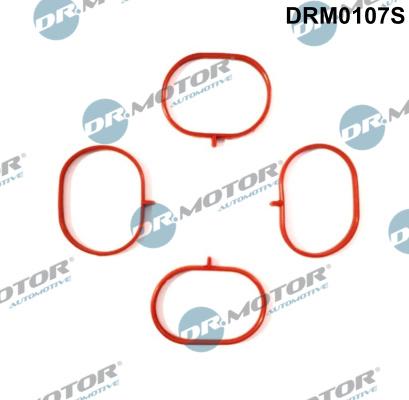 Dr.Motor Automotive DRM0107S - Gasket Set, intake manifold car-mod.net