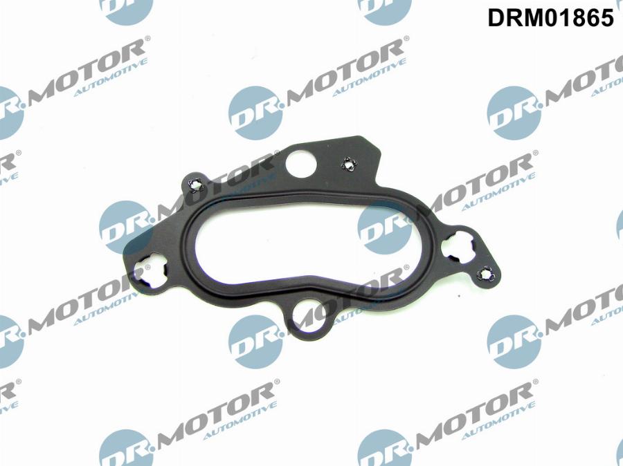 Dr.Motor Automotive DRM01865 - Gasket, thermostat housing car-mod.net