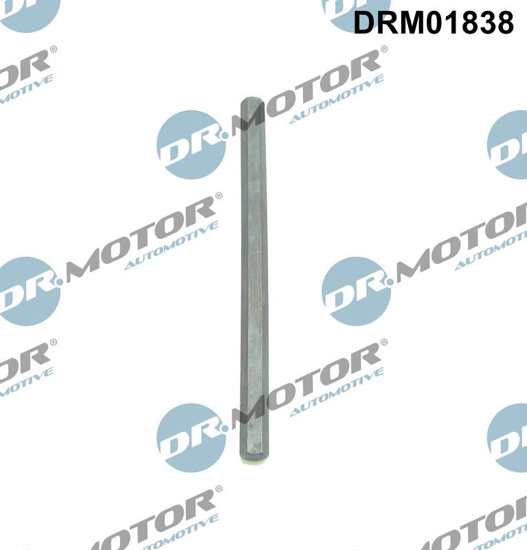 Dr.Motor Automotive DRM01838 - Drive Shaft, oil pump car-mod.net
