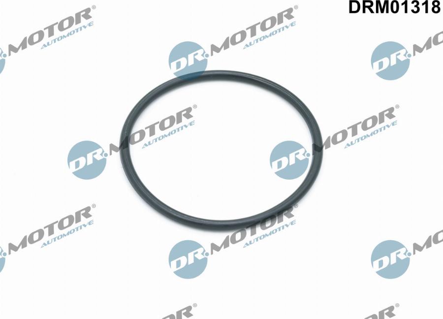 Dr.Motor Automotive DRM01318 - Seal, oil filter housing car-mod.net