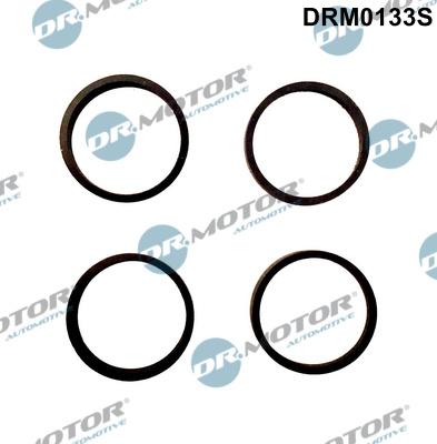 Dr.Motor Automotive DRM0133S - Gasket Set, intake manifold car-mod.net