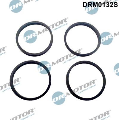 Dr.Motor Automotive DRM0132S - Gasket Set, intake manifold car-mod.net